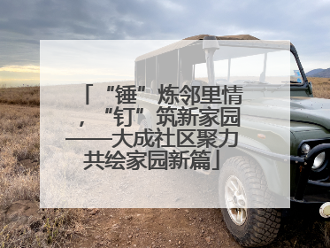 “锤”炼邻里情，“钉”筑新家园——大成社区聚力共绘家园新篇