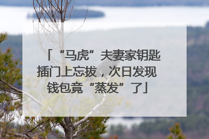 “马虎”夫妻家钥匙插门上忘拔，次日发现钱包竟“蒸发”了