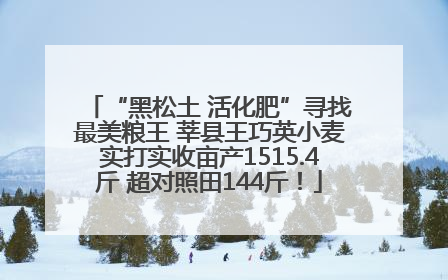 “黑松土 活化肥”寻找最美粮王 莘县王巧英小麦实打实收亩产1515.4斤 超对照田144斤！