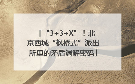 “3+3+X”！北京西城“枫桥式”派出所里的矛盾调解密码