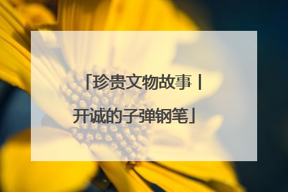 珍贵文物故事丨开诚的子弹钢笔