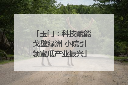 玉门：科技赋能戈壁绿洲 小院引领蜜瓜产业振兴