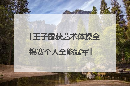 王子露获艺术体操全锦赛个人全能冠军