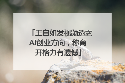 王自如发视频透露AI创业方向，称离开格力有遗憾