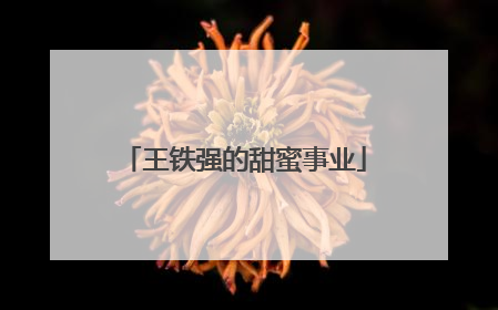王铁强的甜蜜事业