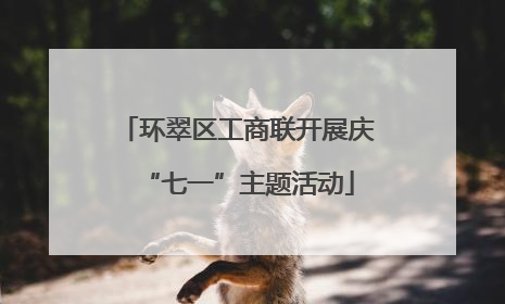 环翠区工商联开展庆“七一”主题活动