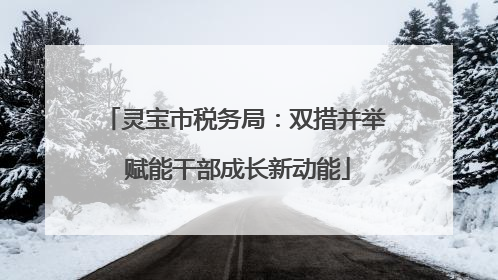 灵宝市税务局：双措并举 赋能干部成长新动能