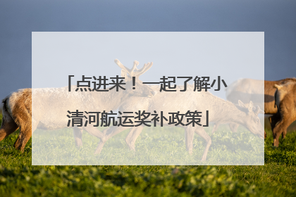 点进来！一起了解小清河航运奖补政策