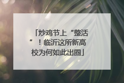炒鸡节上“整活”！临沂这所新高校为何如此出圈