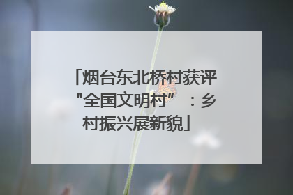 烟台东北桥村获评“全国文明村”：乡村振兴展新貌