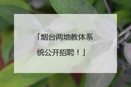 烟台两地教体系统公开招聘！