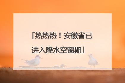 热热热！安徽省已进入降水空窗期