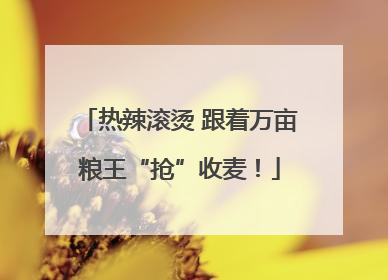 热辣滚烫 跟着万亩粮王“抢”收麦！