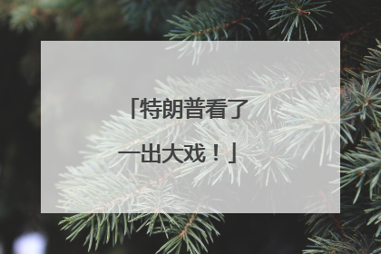 特朗普看了一出大戏！