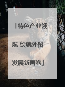 特色产业领航 绘就外贸发展新画卷