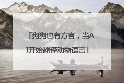 狗狗也有方言,当AI开始翻译动物语言