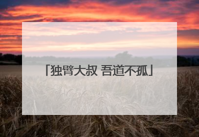 独臂大叔 吾道不孤