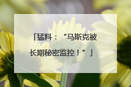 猛料：“马斯克被长期秘密监控！”