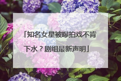 知名女星被曝拍戏不肯下水？剧组最新声明