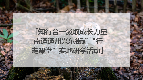 知行合一汲取成长力量 南通通州兴东街道“行走课堂”实地研学活动