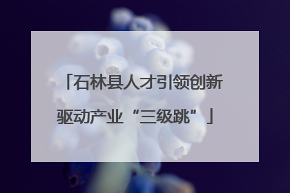 石林县人才引领创新驱动产业“三级跳”