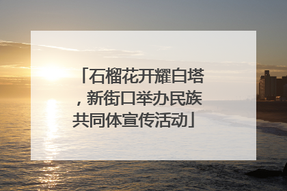 石榴花开耀白塔，新街口举办民族共同体宣传活动