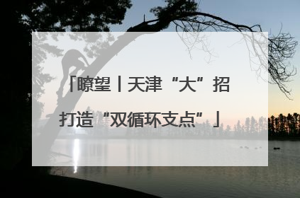 瞭望丨天津“大”招打造“双循环支点”