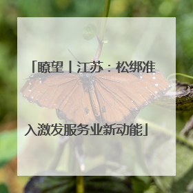 瞭望丨江苏：松绑准入激发服务业新动能