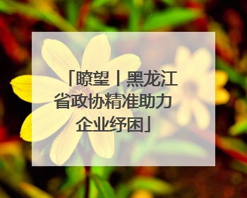 瞭望丨黑龙江省政协精准助力企业纾困