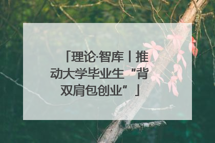 理论·智库丨推动大学毕业生“背双肩包创业”