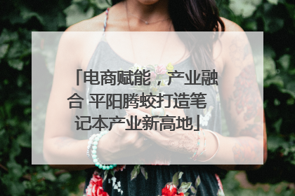 电商赋能，产业融合 平阳腾蛟打造笔记本产业新高地