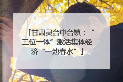 甘肃灵台中台镇：“三位一体”激活集体经济“一池春水”