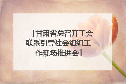 甘肃省总召开工会联系引导社会组织工作现场推进会