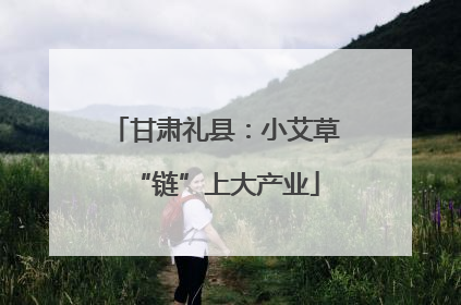 甘肃礼县：小艾草“链”上大产业