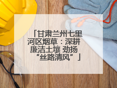 甘肃兰州七里河区烟草：深耕廉洁土壤 劲扬“丝路清风”