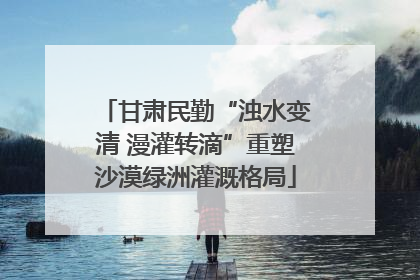 甘肃民勤“浊水变清 漫灌转滴”重塑沙漠绿洲灌溉格局