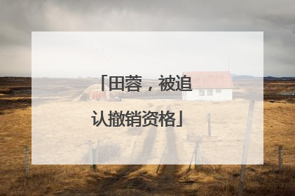 田蓉，被追认撤销资格