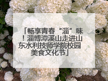 畅享青春“淄”味！淄博潭溪山走进山东水利技师学院校园美食文化节