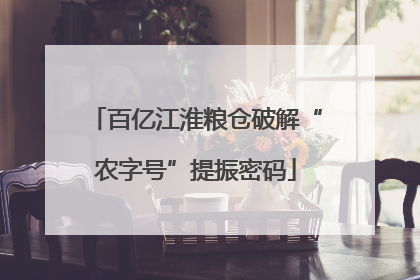 百亿江淮粮仓破解“农字号”提振密码