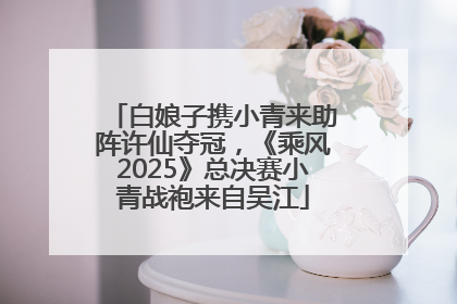 白娘子携小青来助阵许仙夺冠，《乘风2025》总决赛小青战袍来自吴江