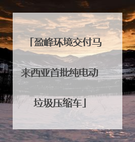 盈峰环境交付马来西亚首批纯电动垃圾压缩车