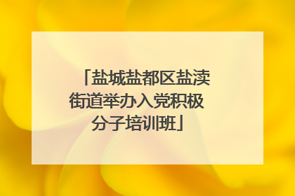 盐城盐都区盐渎街道举办入党积极分子培训班