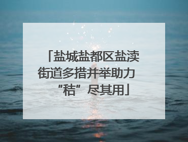 盐城盐都区盐渎街道多措并举助力“秸”尽其用