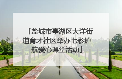 盐城市亭湖区大洋街道育才社区举办七彩护航爱心课堂活动