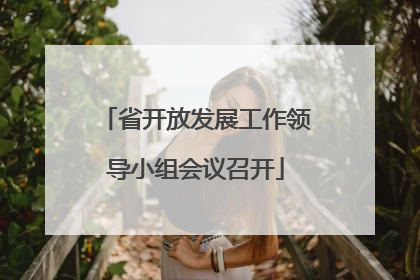 省开放发展工作领导小组会议召开