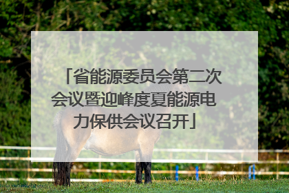 省能源委员会第二次会议暨迎峰度夏能源电力保供会议召开