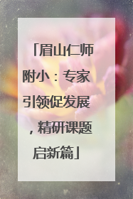 眉山仁师附小：专家引领促发展，精研课题启新篇