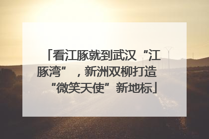 看江豚就到武汉“江豚湾”，新洲双柳打造“微笑天使”新地标