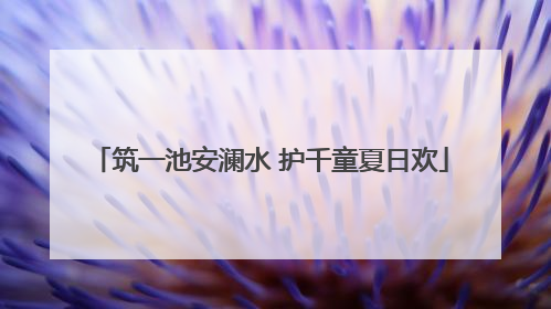 筑一池安澜水 护千童夏日欢