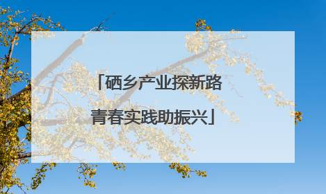 硒乡产业探新路 青春实践助振兴